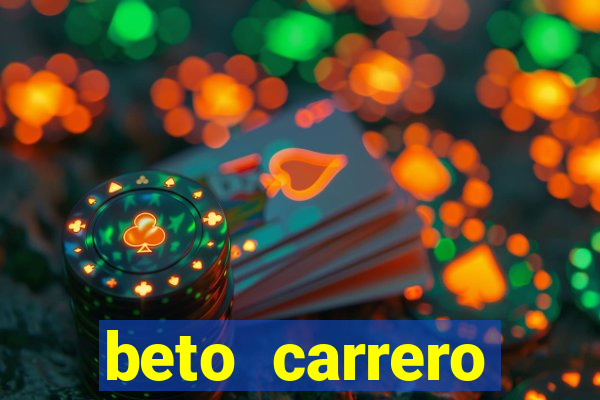 beto carrero cidades proximas