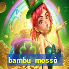 bambu mossô natural preço