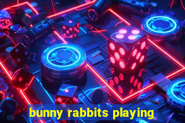 bunny rabbits playing