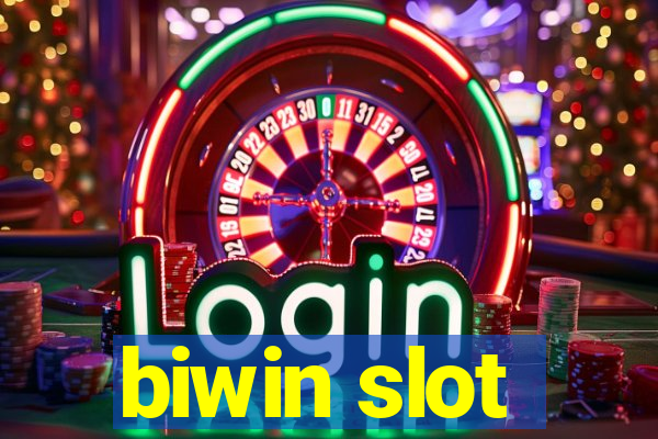 biwin slot