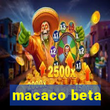 macaco beta