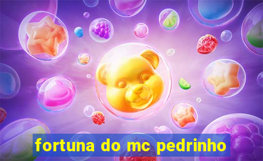 fortuna do mc pedrinho