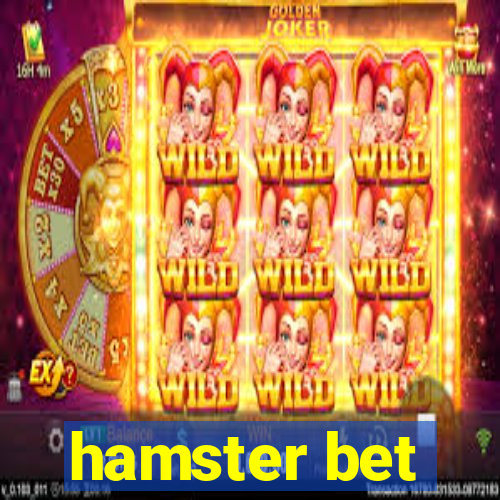 hamster bet