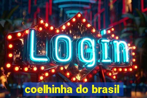 coelhinha do brasil