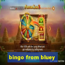 bingo from bluey