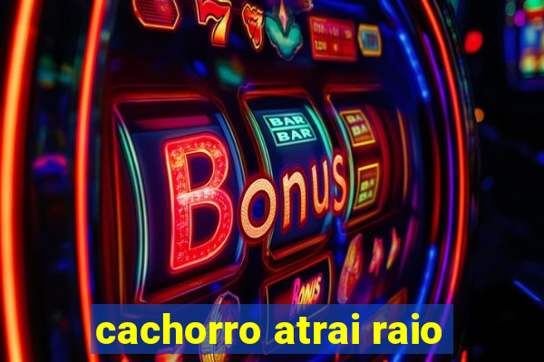 cachorro atrai raio