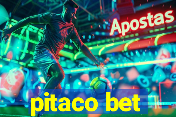 pitaco bet