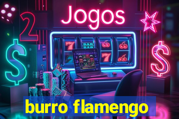 burro flamengo