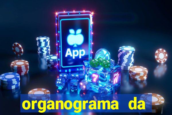 organograma da cacau show