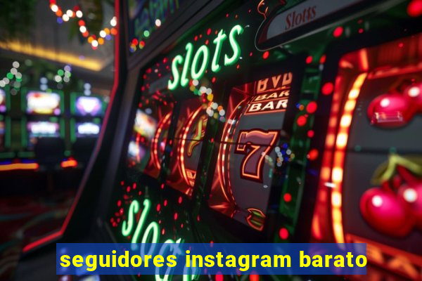 seguidores instagram barato