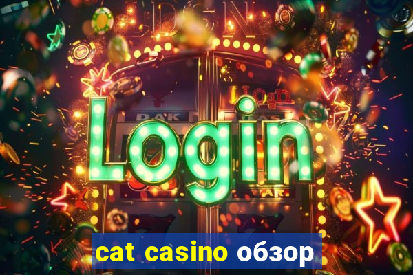 cat casino обзор