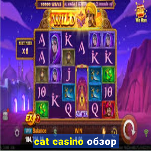 cat casino обзор