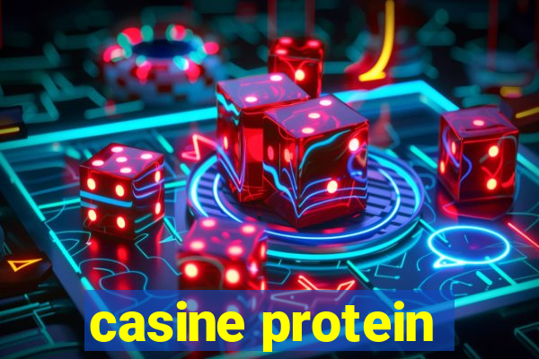 casine protein