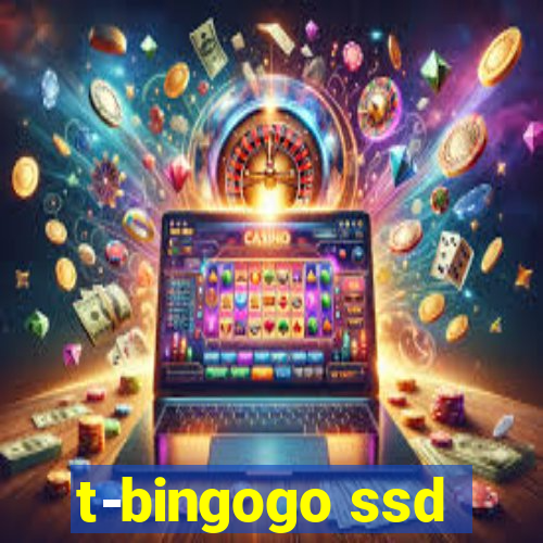 t-bingogo ssd