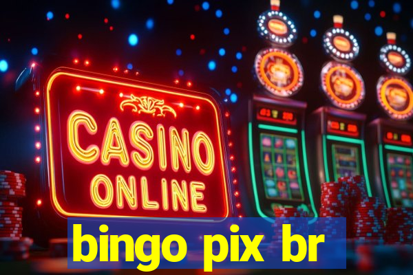 bingo pix br