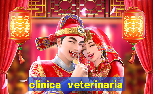 clinica veterinaria cuidar betim