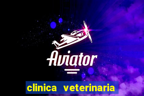 clinica veterinaria cuidar betim