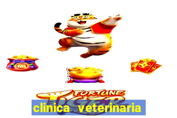 clinica veterinaria cuidar betim