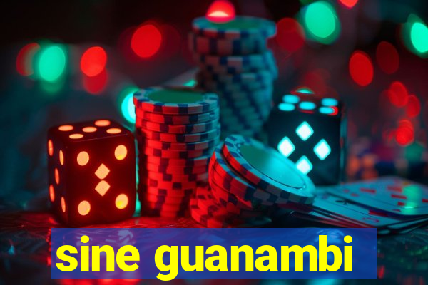 sine guanambi