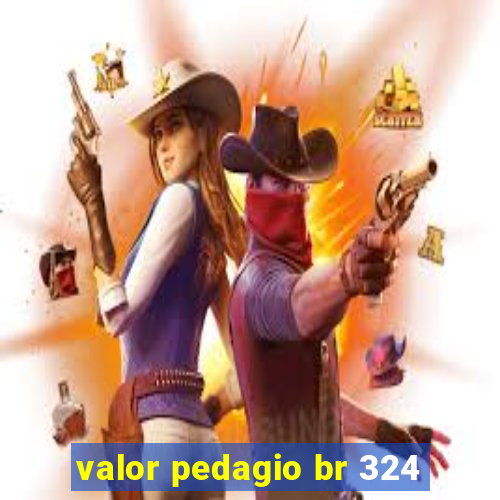 valor pedagio br 324