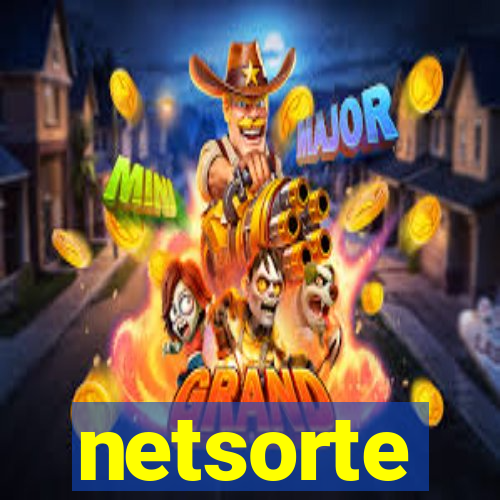 netsorte