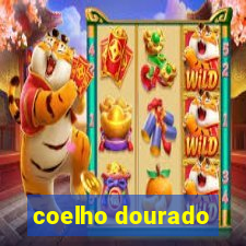 coelho dourado