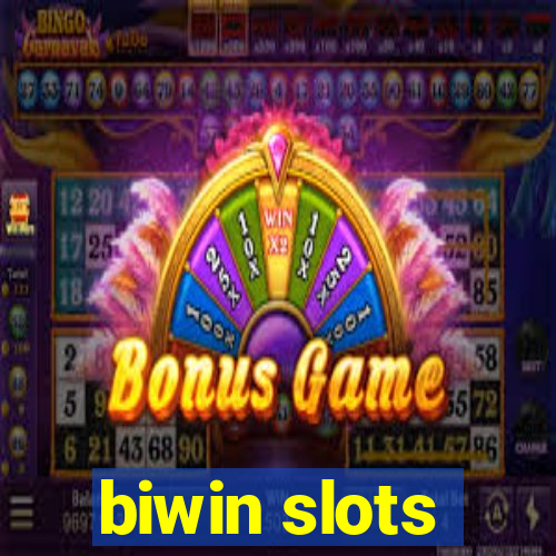 biwin slots