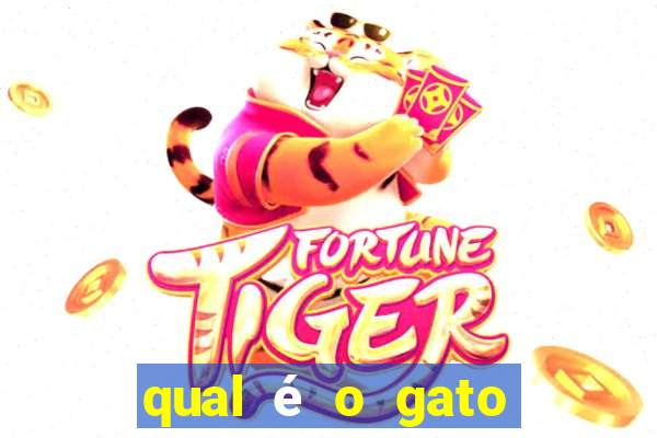 qual é o gato mais feio