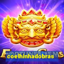 coelhinhadobrasil