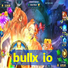 bullx io