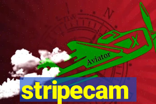 stripecam