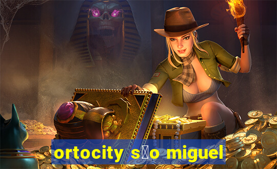 ortocity s茫o miguel