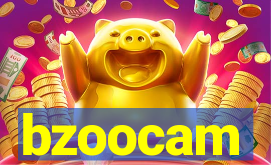 bzoocam