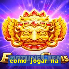 como jogar na loteria gringa online