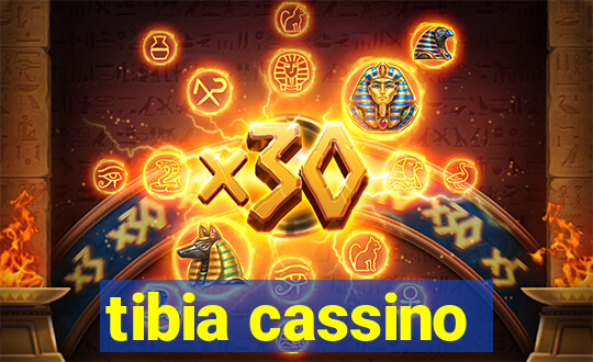 tibia cassino