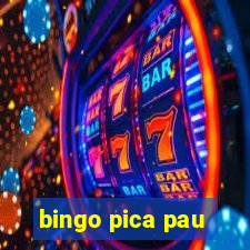 bingo pica pau