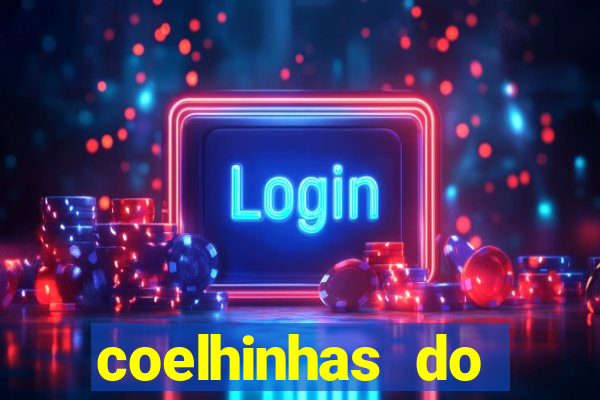 coelhinhas do brasil acompanhantes