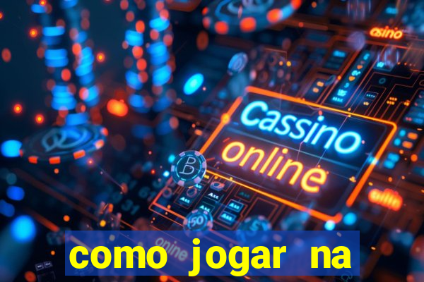 como jogar na lotinha do jogo do bicho