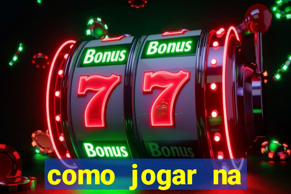 como jogar na lotinha do jogo do bicho