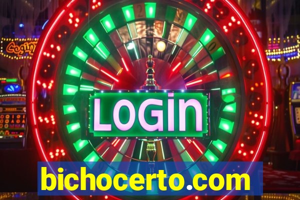 bichocerto.com