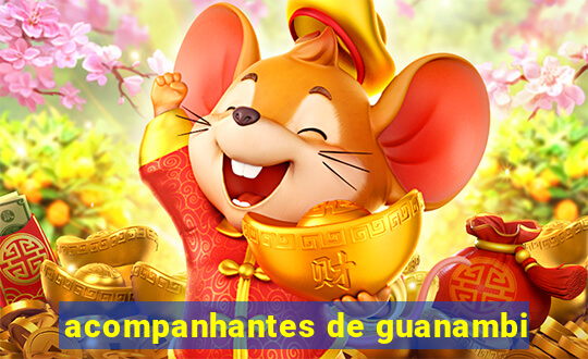 acompanhantes de guanambi