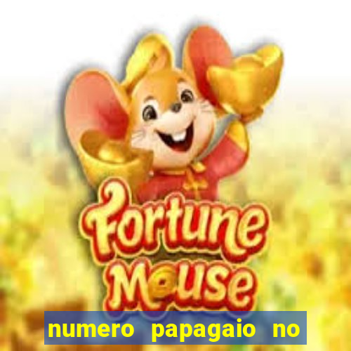 numero papagaio no jogo do bicho