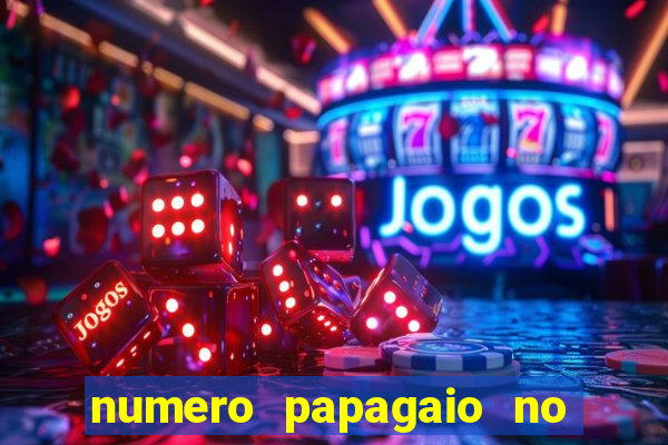 numero papagaio no jogo do bicho