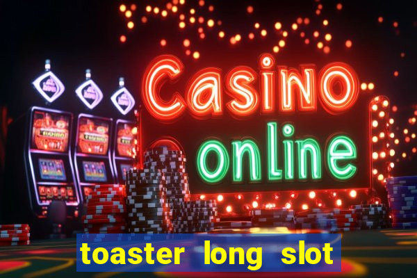 toaster long slot 2 slice