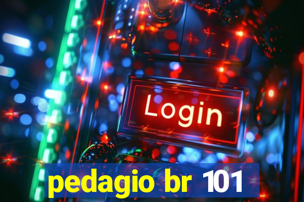 pedagio br 101