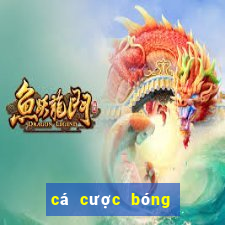 cá cược bóng đá online