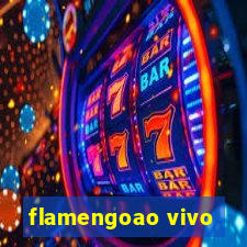 flamengoao vivo