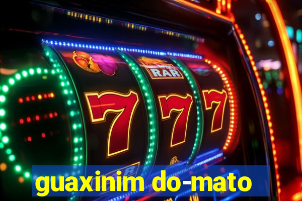 guaxinim do-mato