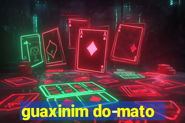 guaxinim do-mato