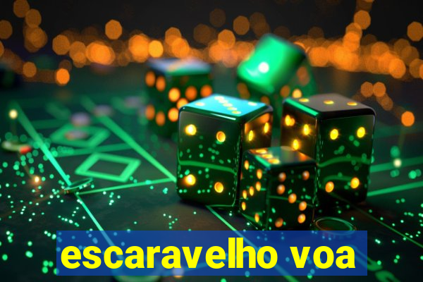 escaravelho voa